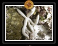 2010 Maldives 038