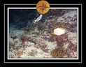 2010 Maldives 040