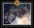 2010 Maldives 042