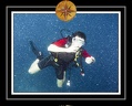 2010 Maldives 044