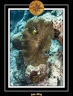 2010 Maldives 046