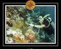 2010 Maldives 056