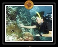 2010 Maldives 057