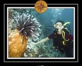 2010 Maldives 058