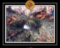 2010 Maldives 076