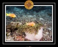 2010 Maldives 088