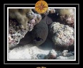 2010 Maldives 094