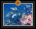 2010 Maldives 108