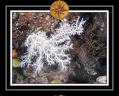 2010 Maldives 113