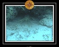 2010 Maldives 130