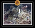2010 Maldives 138