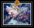 2010 Maldives 140