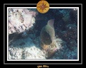 2011 Maldives 002