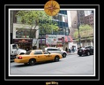 NYC 011