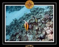 2014 Egypte 33