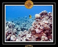 2014 Egypte 34