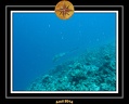 2014 Egypte 39