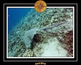 2014 Egypte 41