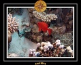 2014 Egypte 46