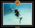 2014 Egypte 47
