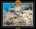2014 Egypte 54