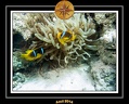 2014 Egypte 58