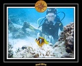 2014 Egypte 61