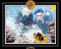 2014 Egypte 62