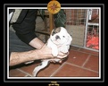 20 Nov 2005 Yoda 005