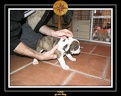 20 Nov 2005 Yoda 007