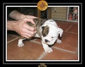 20 Nov 2005 Yoda 009