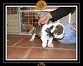 20 Nov 2005 Yoda 010
