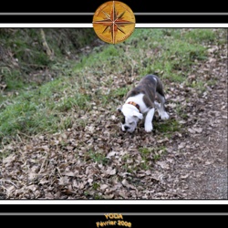 Yoda 2006 Ballades La Motte