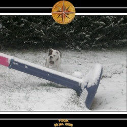 Yoda 2006 Decouverte de la neige