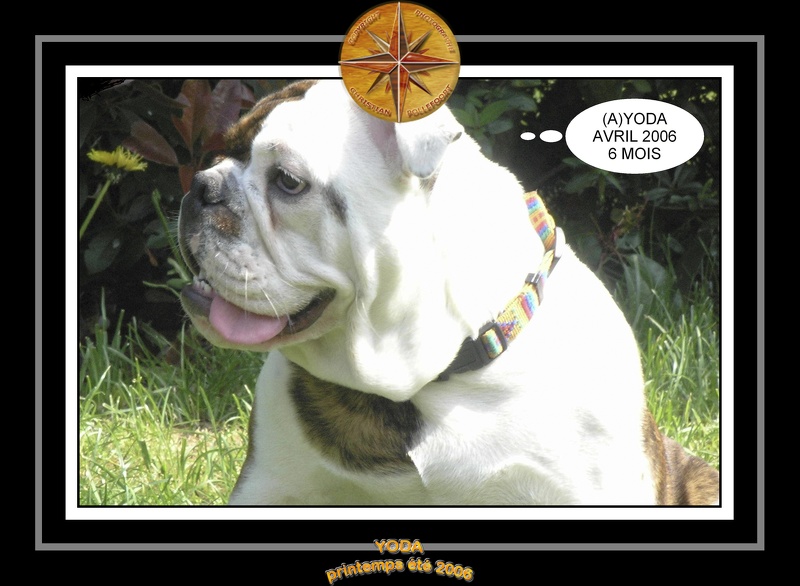 Yoda 2006 Jardin 001