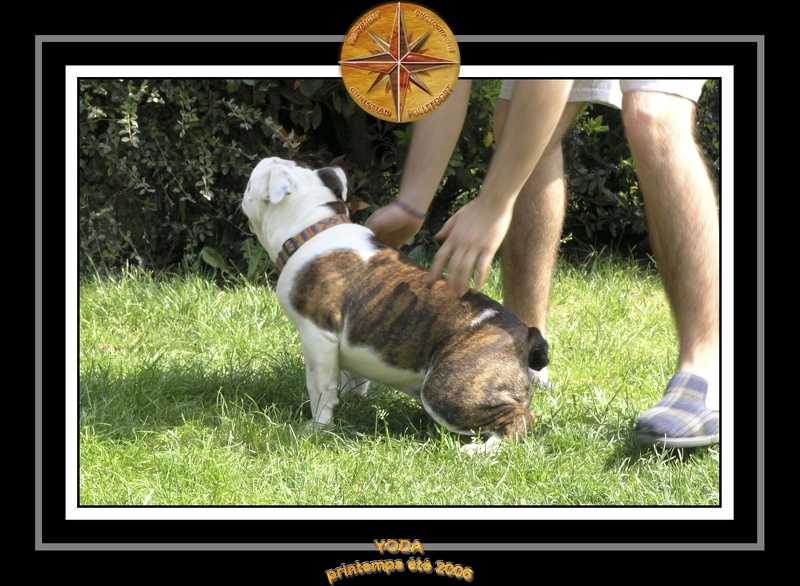 Yoda 2006 Jardin 002