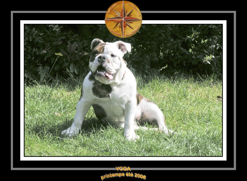 Yoda 2006 Jardin 005
