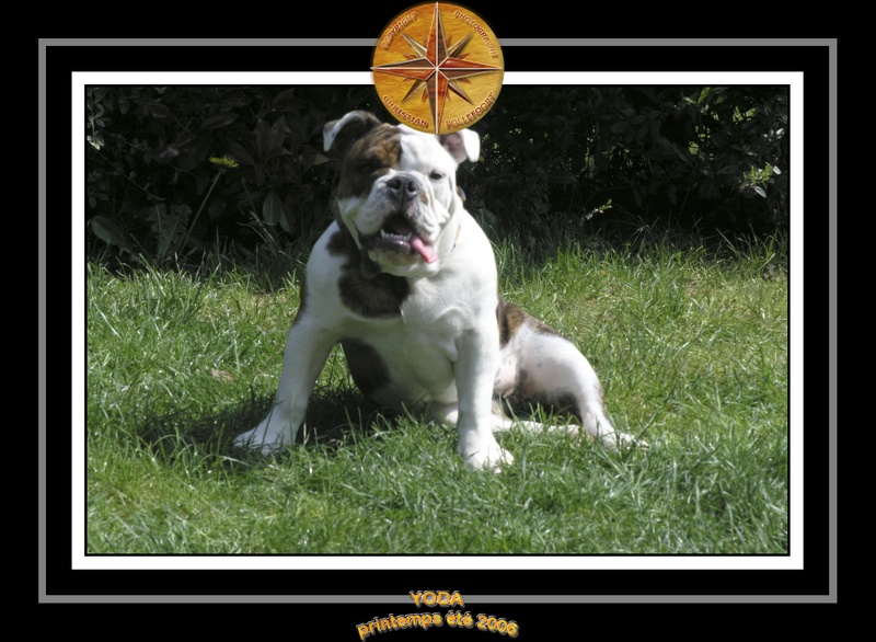 Yoda 2006 Jardin 006