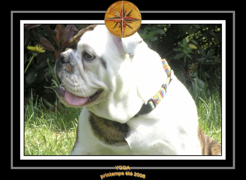 Yoda 2006 Jardin 007