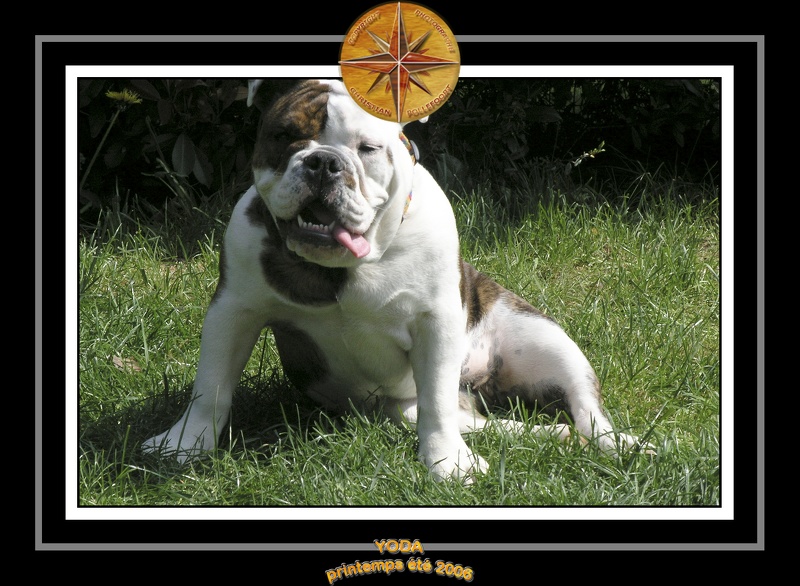 Yoda 2006 Jardin 008