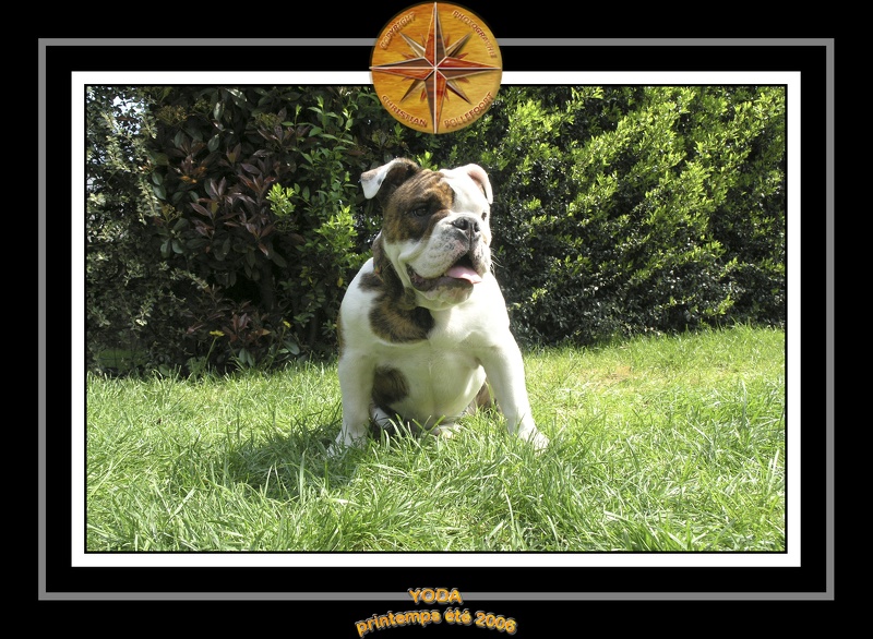 Yoda 2006 Jardin 010