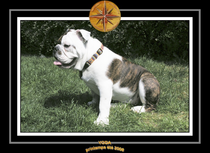 Yoda 2006 Jardin 011