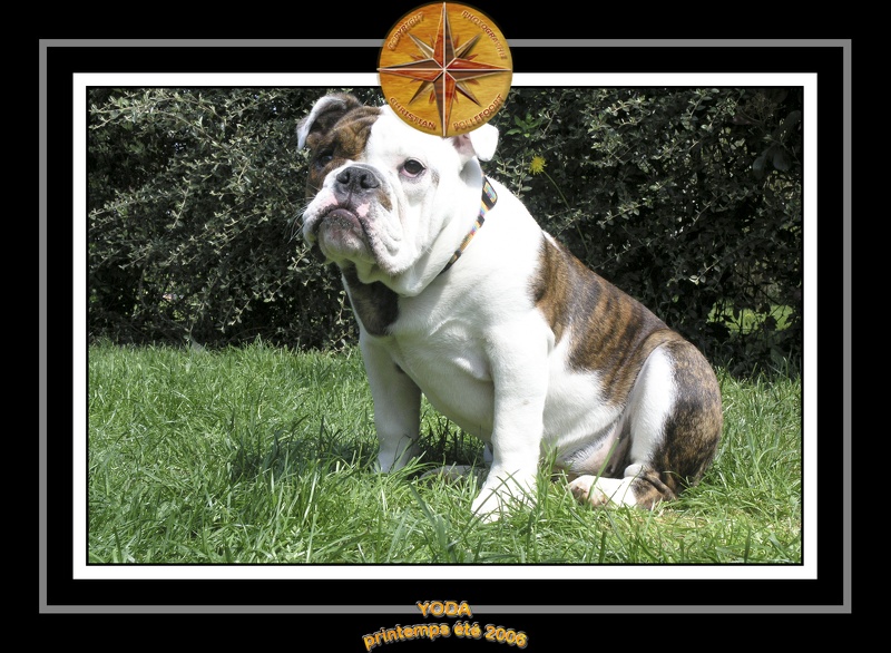 Yoda 2006 Jardin 012