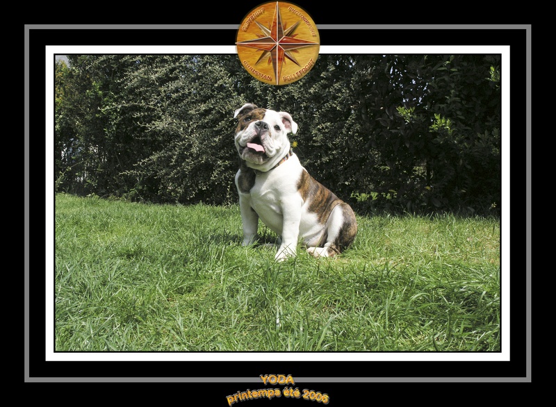 Yoda 2006 Jardin 013
