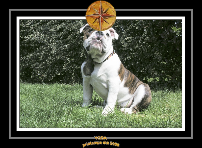 Yoda 2006 Jardin 014
