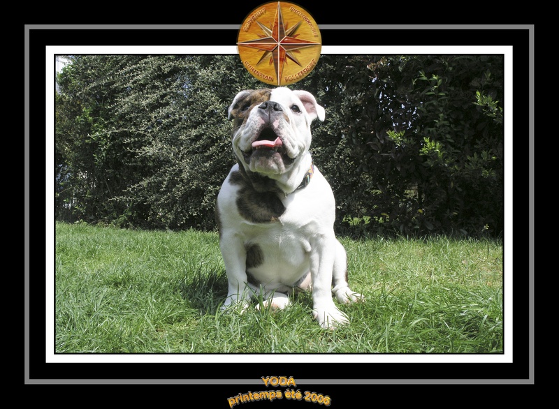 Yoda 2006 Jardin 015