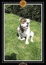 Yoda 2006 Jardin 017