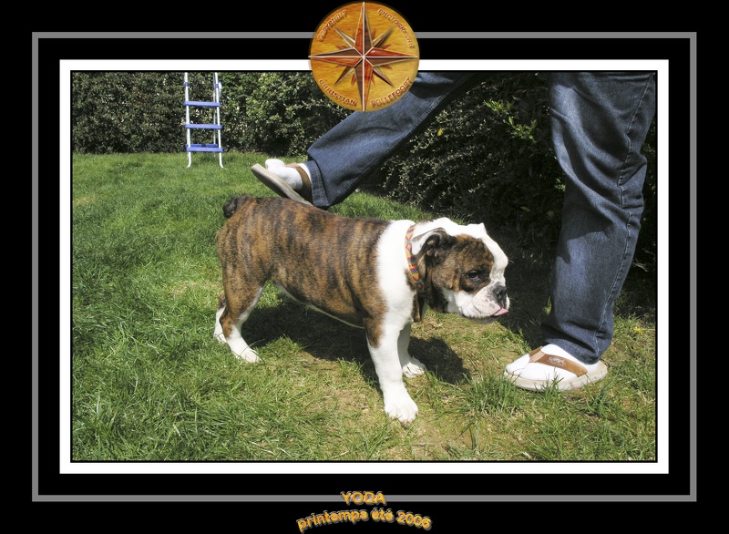 Yoda 2006 Jardin 020