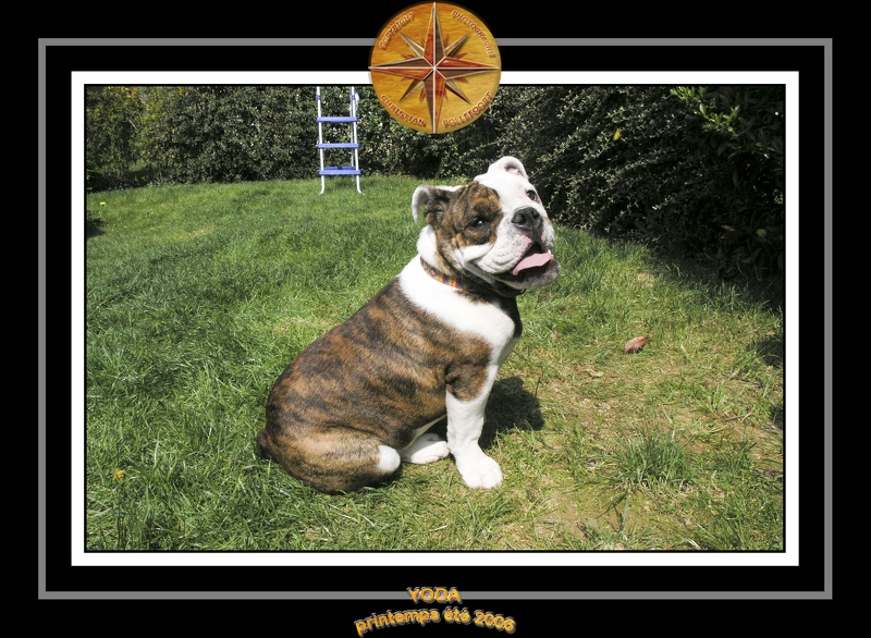 Yoda 2006 Jardin 021