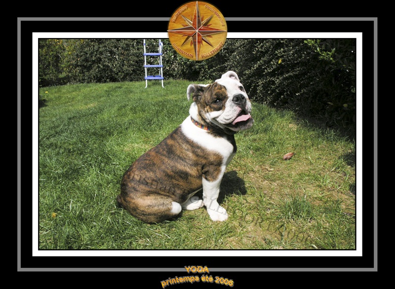 Yoda 2006 Jardin 022